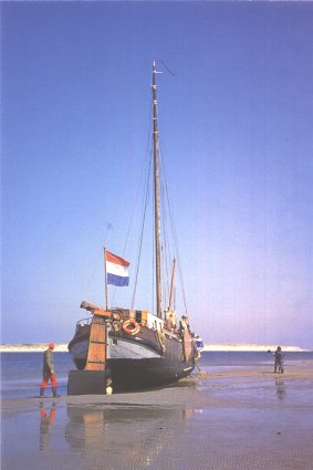 Albatros Postkarte 2004